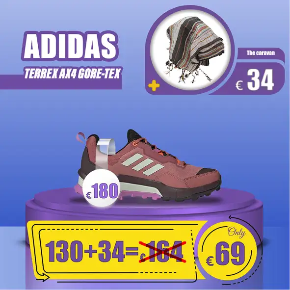 کفش زنانه آدیداس - ADIDAS TERREX AX4