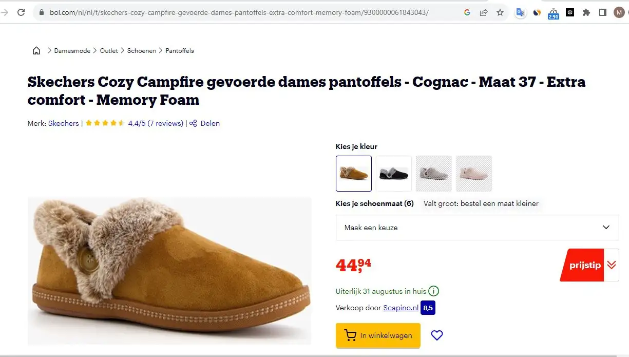 دمپایی زنانه اسکیچرز Skechers مدل Cozy Campfire